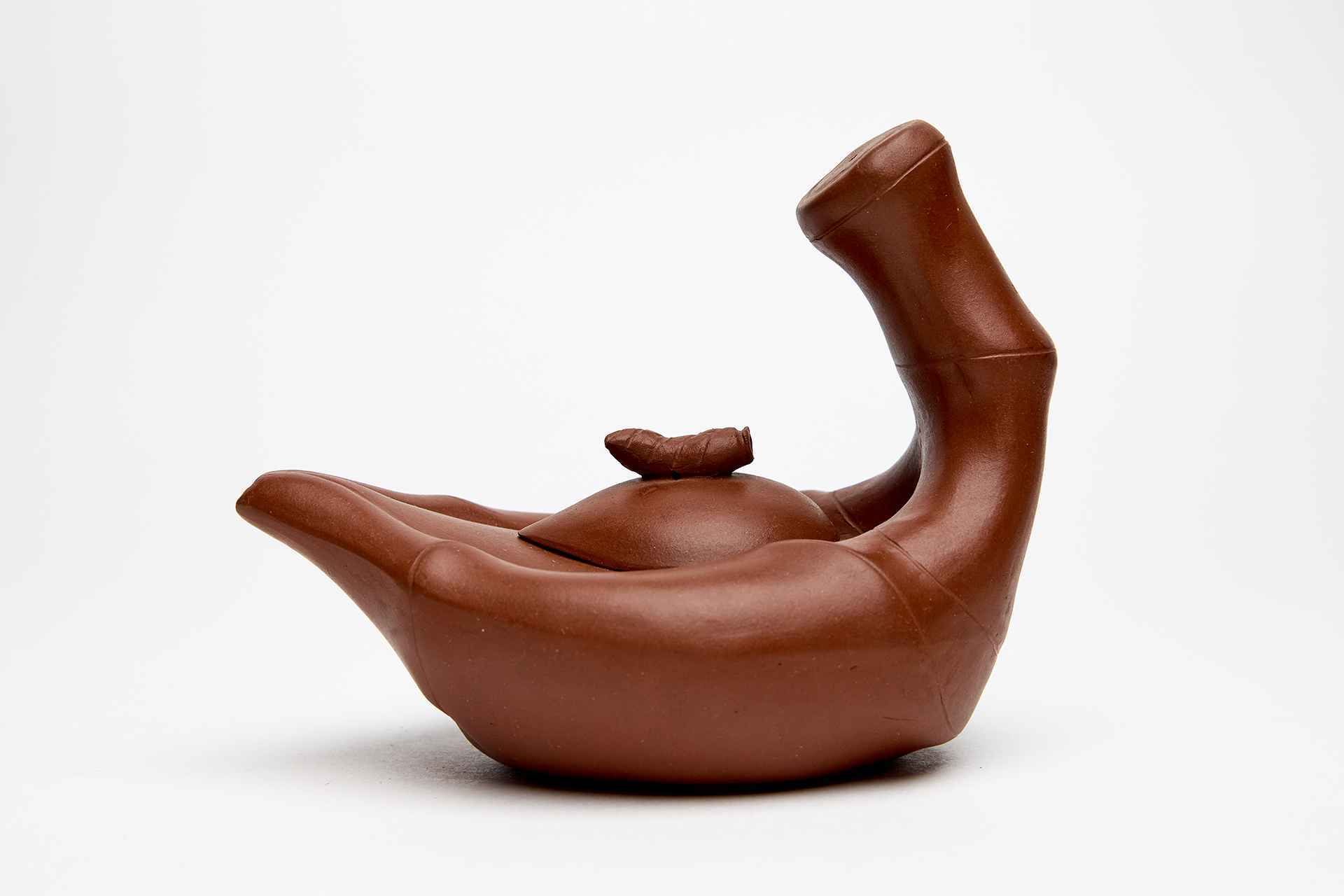 Чайник с двумя носиками растительной формы