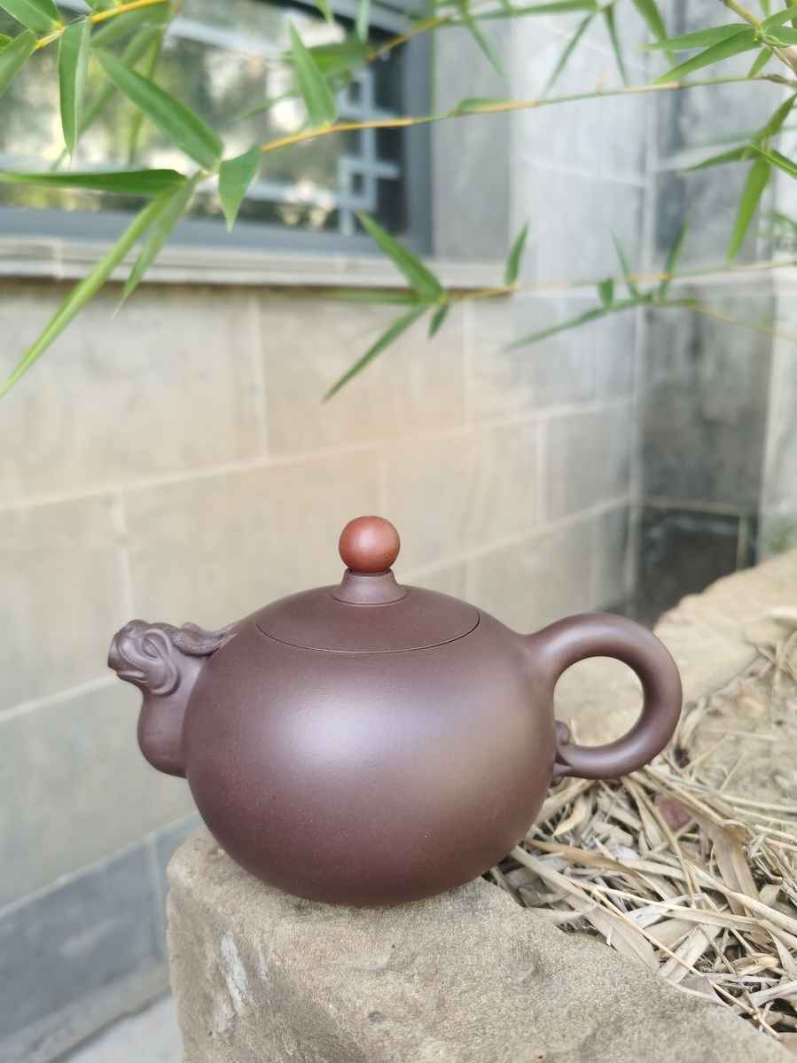 Цюйлун сичжу